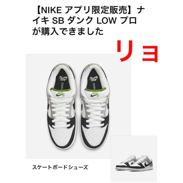 NIKE(ナイキ)のNIKE SB DUNK LOW PRO CHROROPHYLL クロロフィル メンズの靴/シューズ(スニーカー)の商品写真