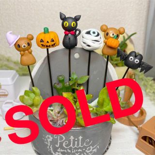 ハンドメイド　クマちゃんのハロウィンピック　多肉植物(その他)