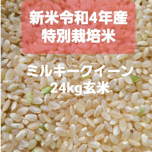 玄米24kg(8㎏×3)令和4年産新米ミルキークイーン 精米・分搗き精米対応