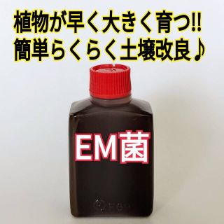  EM菌 お試し15ml  土壌改良におすすめ♪(その他)