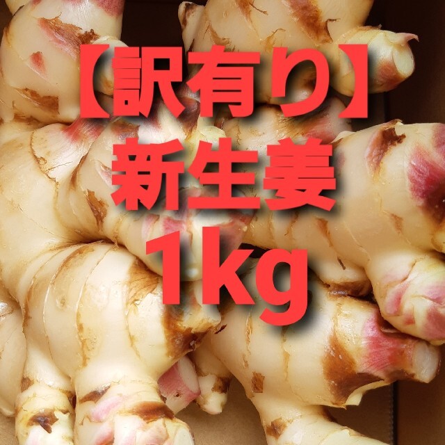 農家直送【訳有り】新生姜　1kg 食品/飲料/酒の食品(野菜)の商品写真