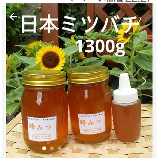 日本ミツバチの蜂蜜  1300g(570×2本  160g×1本 )(その他)