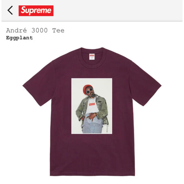 supreme André 3000 Tee Eggplant 1