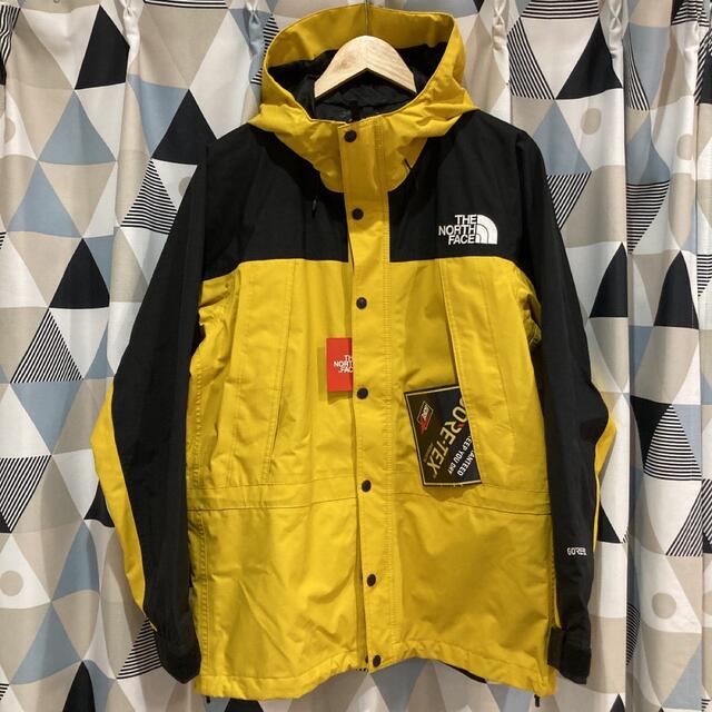 廃盤 THE NORTH FACE  Mountain Light Jacket