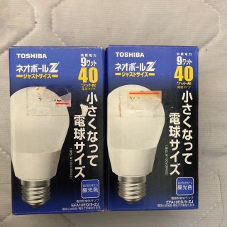 訳あり‼️東芝 ネオボールz 40w形 電球タイプ 2個セットの通販 訳あり‼️東芝 ネオボールz 40w形 電球タイプ 2個セットの通販