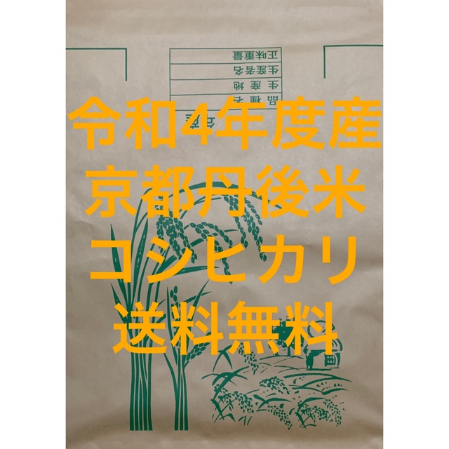 玄米 30kg 京都 丹後 米 コシヒカリ 送料無料