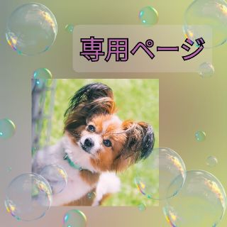 【専用ページ　ピンクＭサイ】犬の服 暖か  ハイネック セーター　人気　シンプル(犬)