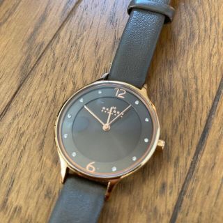 スカーゲン(SKAGEN)の【大幅値下げ】SKAGEN 腕時計(腕時計)