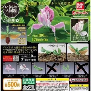 いきもの大図鑑 かまきり03 4種類セット(模型/プラモデル)