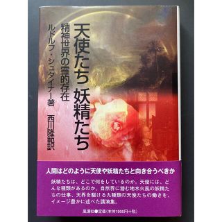 天使たち妖精たち 精神世界の霊的存在(人文/社会)