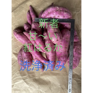 さつまいも　紅はるか無農薬　5キロ2500円鹿児島県産　　　　(野菜)