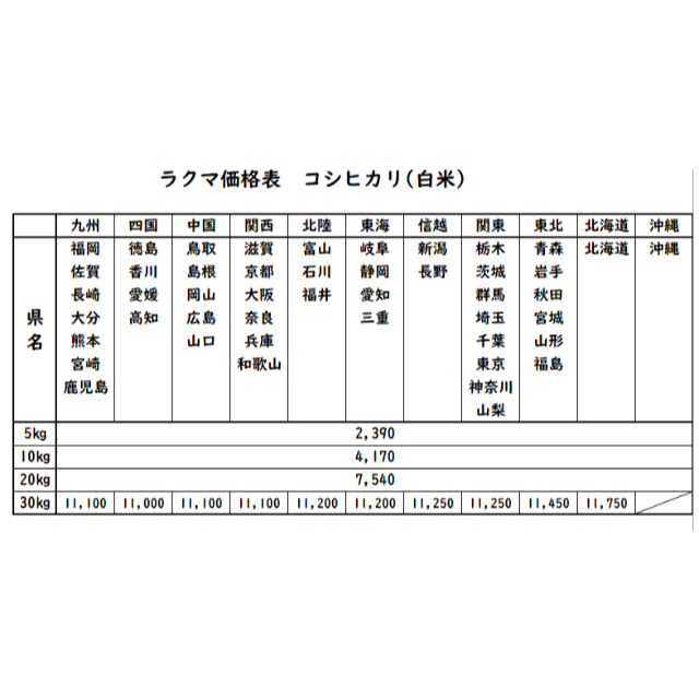 お米 令和4年 愛媛県産コシヒカリ 白米 20㎏