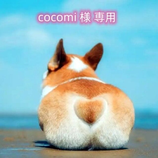 cocomi 様専用 Yz fgaeet.org