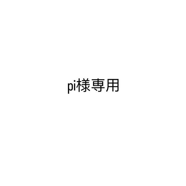 pi様 専用 - ぬいぐるみ