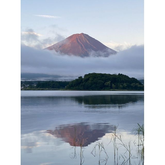 ㉚メリーさま専用です✨