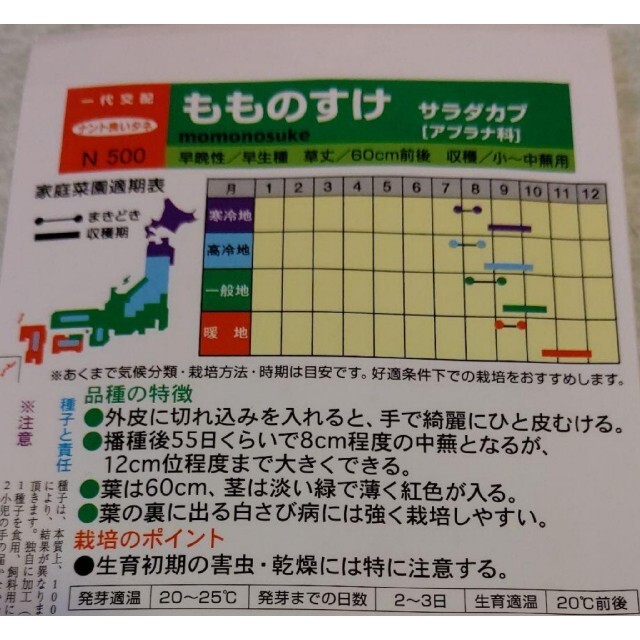 大人気 もものすけ 野菜種 カブ 家庭菜園 プランター 食品/飲料/酒の食品(野菜)の商品写真