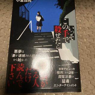 美波様専用いっそこの手で殺せたら(文学/小説)