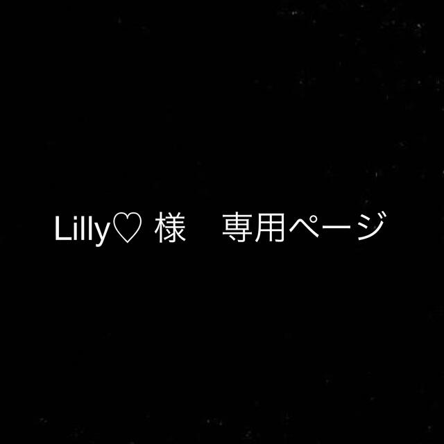 Lilly様　専用 ハンドメイドのハンドメイド その他(その他)の商品写真