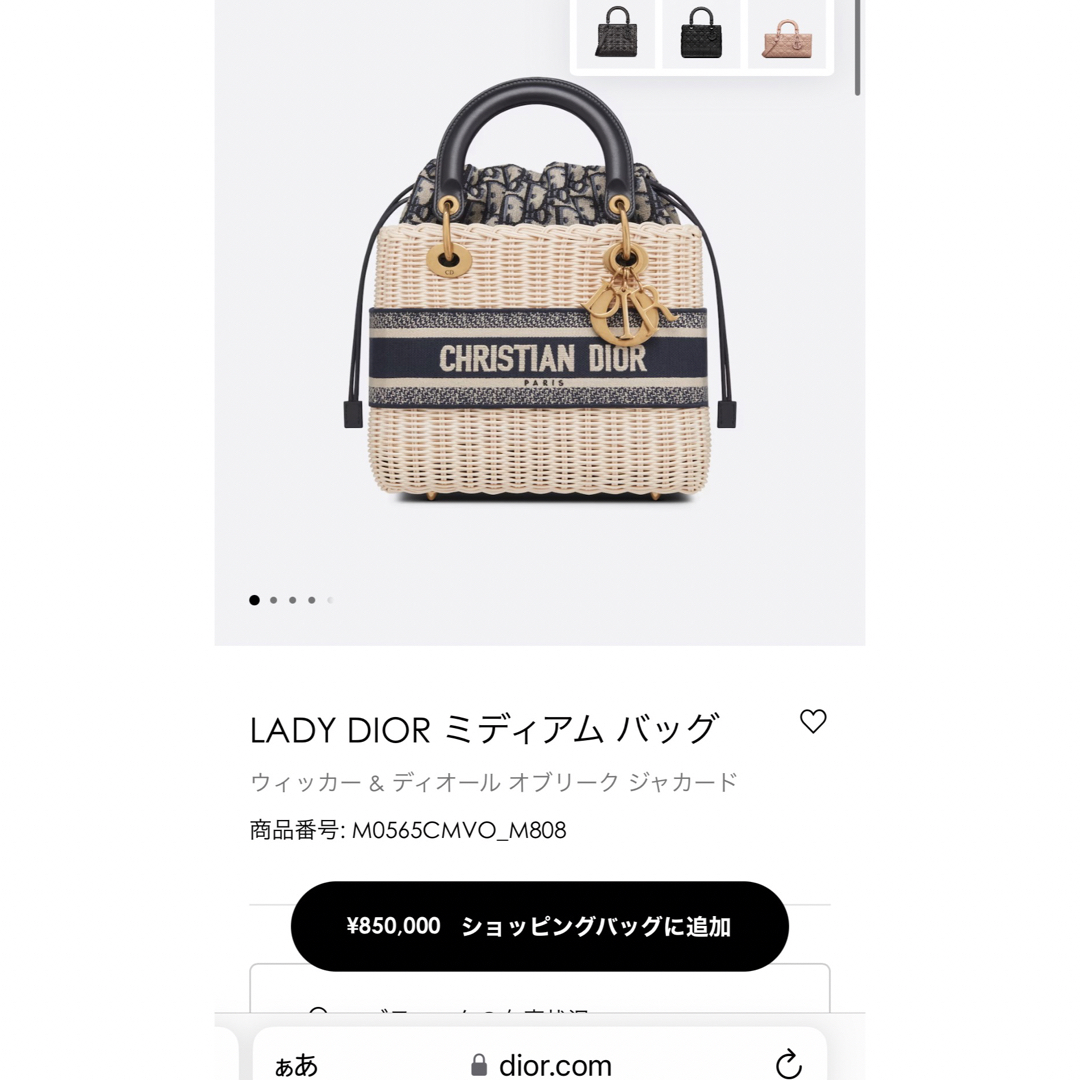 超美品!102万円相当‼︎Christian Diorカゴバッグ♡ 超美品!102万円相当‼︎Christian Diorカゴバッグ♡