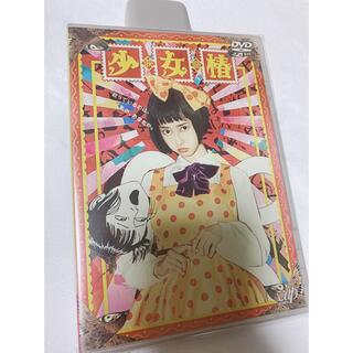 少女椿 DVD 未開封(日本映画)