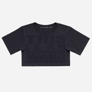 エイチアンドエム(H&M)のアレキサンダーワン　H&Mコラボ　Tシャツ(Tシャツ(半袖/袖なし))
