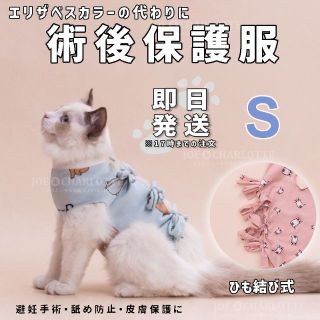 【ブルーS】ひも結び式 犬猫術後保護服 エリザベスカラー 舐め防止ウェア(猫)