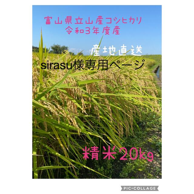 8500 円 可愛いクリスマスツリーやギフトが！ sirasu様専用ページ 令和