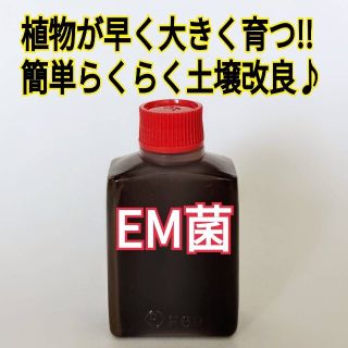 em菌 お試し15ml(その他)