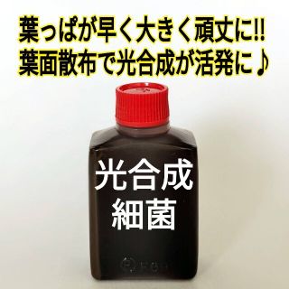 光合成菌 お試し15ml(その他)