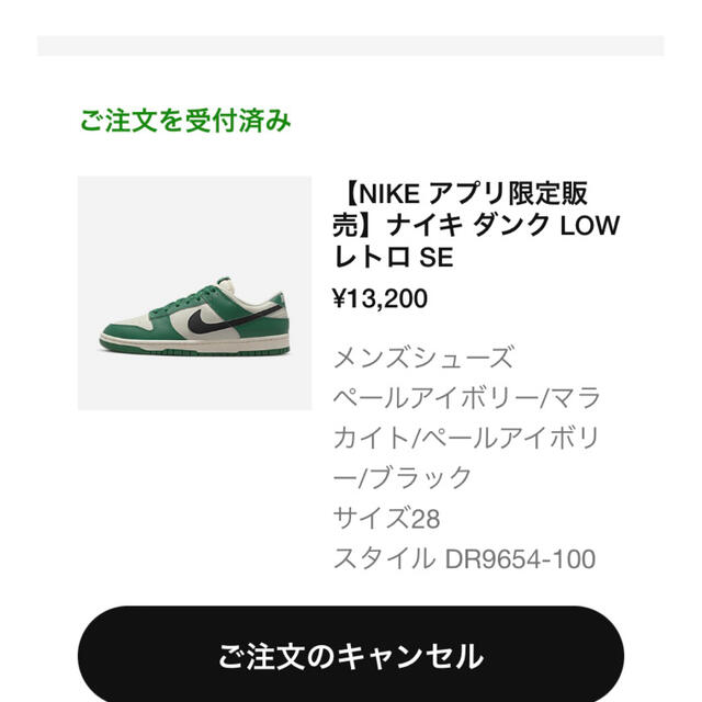 Nike Dunk Low SE Lottery ナイキ　ダンクロー