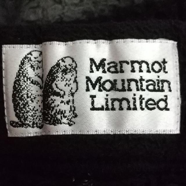 MARMOT(マーモット)のマーモット ハーフパンツ サイズM - レディースのパンツ(ハーフパンツ)の商品写真