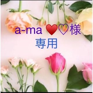 a-ma ♥♡さま専用(その他)