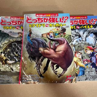 カドカワショテン(角川書店)のみずパパママさん専用　どっちが強い！？リカオン、ヒクイドリ、オオカミ(絵本/児童書)