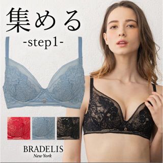 ブラデリスニューヨーク(BRADELIS New York)のブラデリスニューヨーク　ブラ ショーツ　セット(ブラ&ショーツセット)