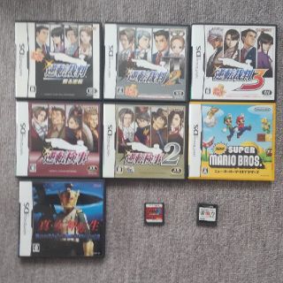 ニンテンドーDSソフト(携帯用ゲームソフト)