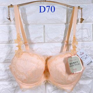 トリンプ(Triumph)のトリンプ　プレミアム　レッドレーベル0063ブラジャー　D70(ブラ)