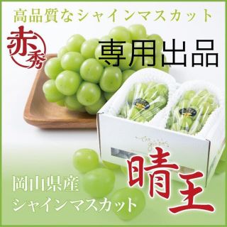 専用出品　シャインマスカット約9.0kg(フルーツ)