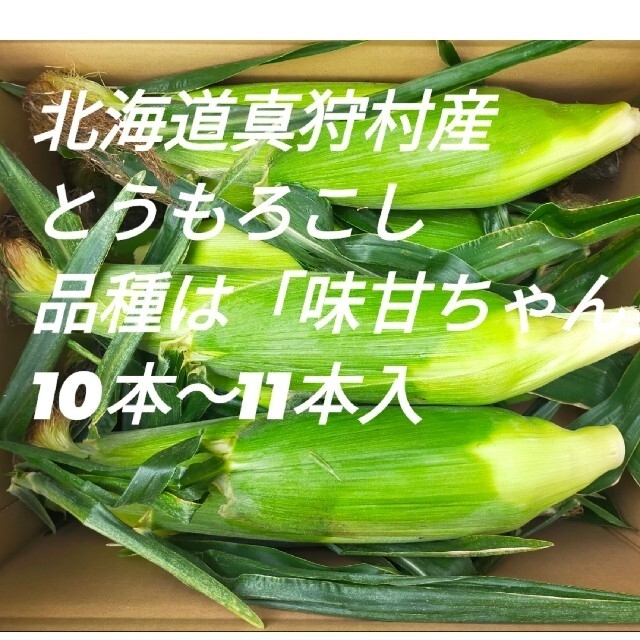 北海道真狩村産とうもろこし　品種は「味甘ちゃん」 食品/飲料/酒の食品(野菜)の商品写真