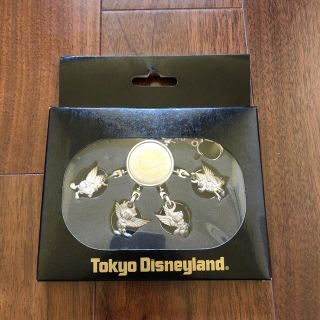 ディズニー(Disney)の2000年当時物 ディズニーランド Disneyland　キーリング(キャラクターグッズ)