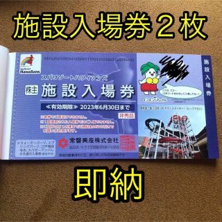 ハワイアンズ 券の通販 5,000点以上 | フリマアプリ ラクマ