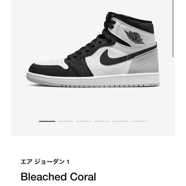 Nike Air Jordan 1 OG Bleached Coral 28.5靴/シューズ