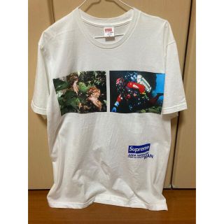 シュプリーム(Supreme)のsupreme junya watanbe nature tee 白 M(Tシャツ/カットソー(半袖/袖なし))