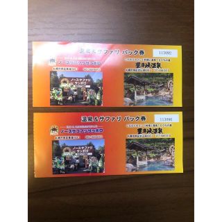 【ともっぺ様専用】豊平峡温泉　入浴券　2枚　11月30日まで有効(その他)