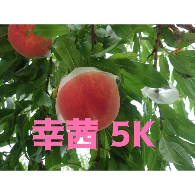 期間限定！！】幸茜 5kgセット 12-18pcs