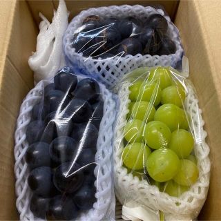 信州産葡萄☆朝どり3房入(フルーツ)