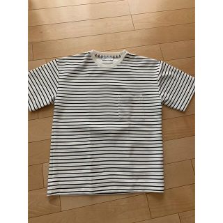 アダムエロぺ(Adam et Rope')のアダムエロぺ　tシャツ      ボーダー(Tシャツ/カットソー(半袖/袖なし))