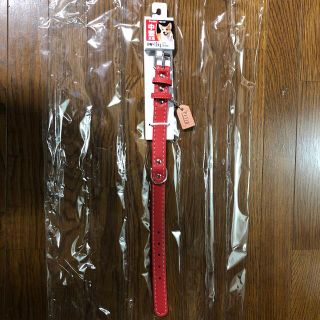 ペティオ　B Lプレーン平首輪　中型犬用　新品未使用(リード/首輪)