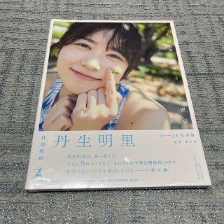 ケヤキザカフォーティーシックス(欅坂46(けやき坂46))の丹生明里１ｓｔ写真集　やさしい関係(アート/エンタメ)