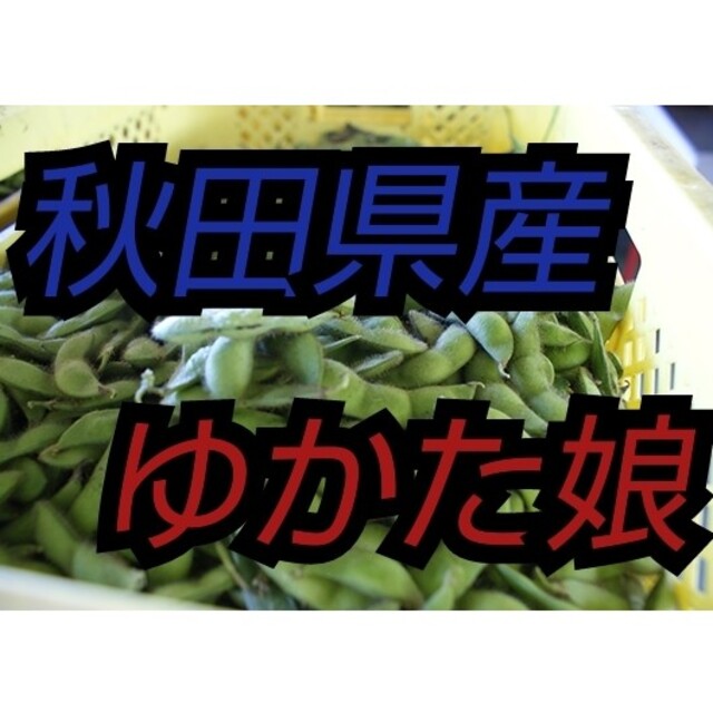 野菜　枝豆　3キロ