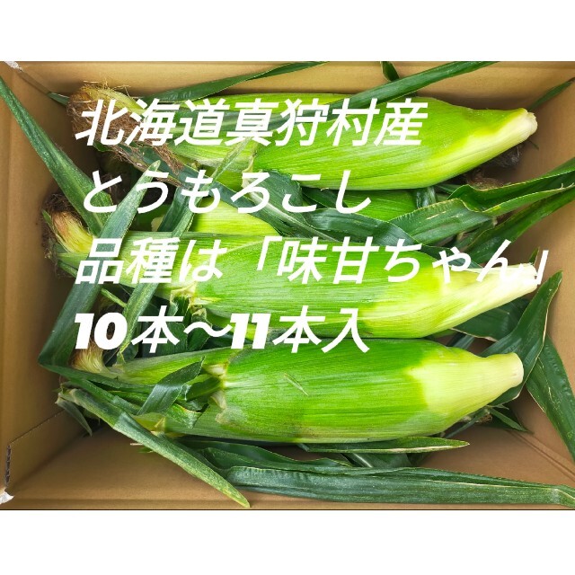 9月13日発送予定、北海道真狩村産とうもろこし　品種は「味甘ちゃん」 食品/飲料/酒の食品(野菜)の商品写真